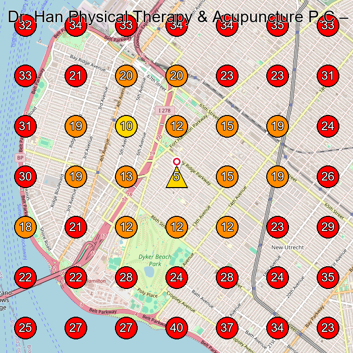 Dr. Han Physical Therapy & Acupuncture P.C GeoGrid visibility map for Physical Therapy Clinic in Brooklyn